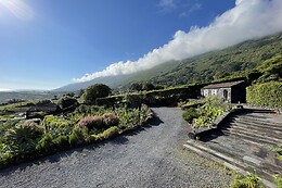 ADEGAS DO PICO