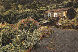 ADEGAS DO PICO