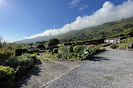 ADEGAS DO PICO