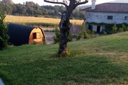 QUINTA DO CARVALHO - NATURE GUEST HOUSES