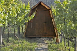 CIMO DA VINHA Nature Spot