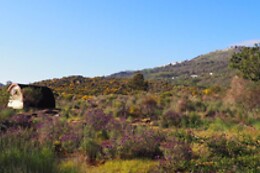 Quinta do Maral Espaço Naturista