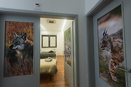 Centro Rewilding