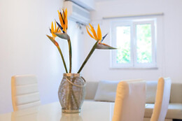 Cem Sentido - Alentejo Apartments