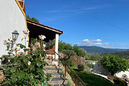 Magnolias Cottage