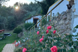 Magnolias Cottage
