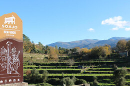 Casa Serra De Soajo