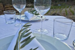 Raposa Verde - Agroturismo