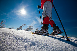 PLANETSPORT MULTIAVENTURA