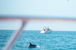 FUENGIROLA SEA TRIPS