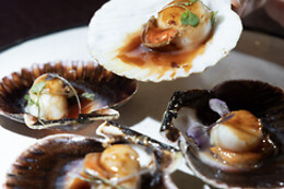 RESTAURANTE ESENCIA