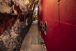 BODEGAS LECEA