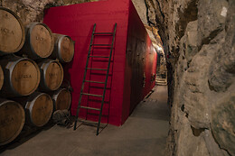 BODEGAS LECEA