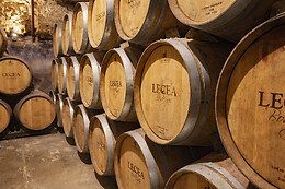 BODEGAS LECEA