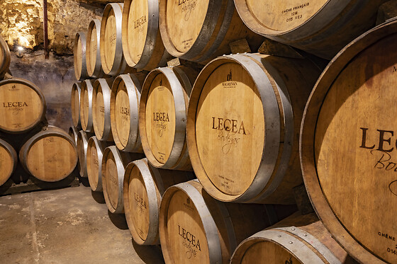 BODEGAS LECEA - photo 0
