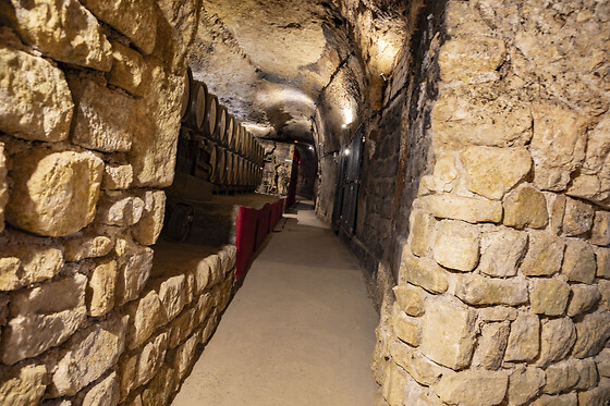 BODEGAS LECEA - photo 16