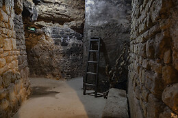 BODEGAS LECEA