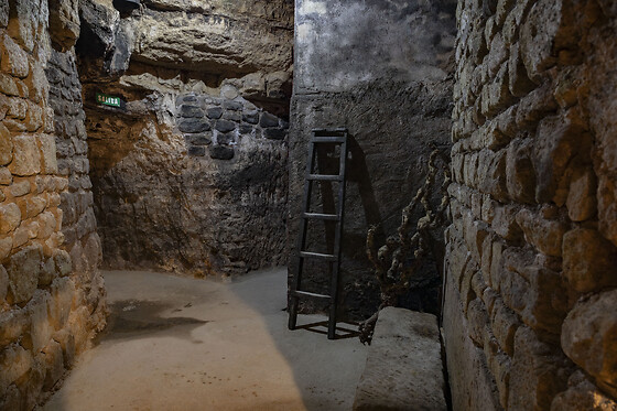 BODEGAS LECEA - photo 17