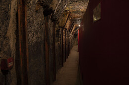 BODEGAS LECEA