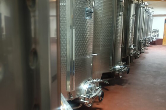 BODEGA VOCARRAJE - photo 3