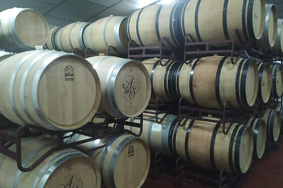 BODEGA VOCARRAJE - photo 5