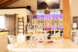 BODEGAS LECEA