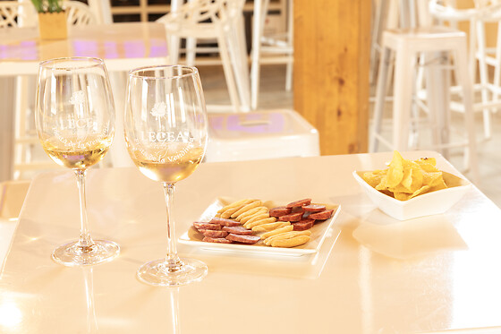 BODEGAS LECEA - photo 8