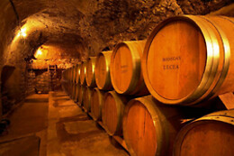 BODEGAS LECEA