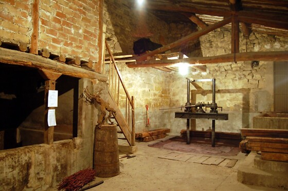 BODEGAS LECEA - photo 5