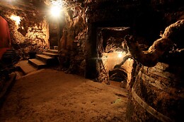 BODEGAS LECEA