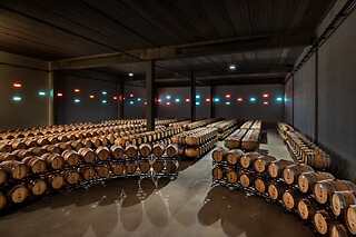 Visita Guiada e Prova de Vinhos para 2 Pessoas na Adega de Borba (Évora)