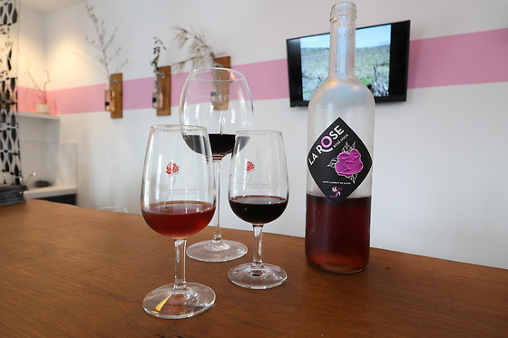 Domaine Saint Laurent de Saurs - photo 1