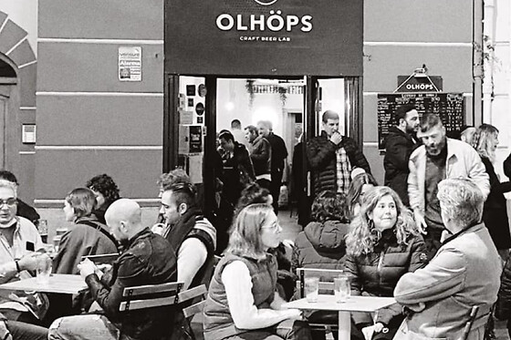 OLHÖPS - photo 15