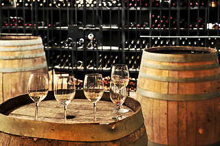 Visita à Adega + Prova de 5 Vinhos + Produtos Regionais para 2 | Adega Venâncio da Costa Lima, Quinta do Anjo (Palmela)