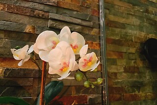 Reflexologia podal para 2 by Sukkee Thai SPA nas Avenidas Novas (Lisboa)