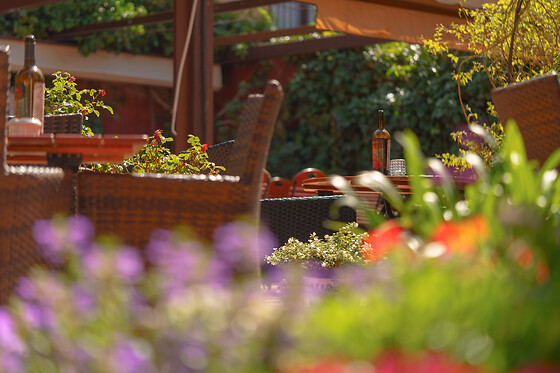 RESTAURANTE JARDINES DE ZORAYA - photo 3