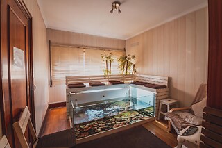 Circuito de Spa para 2 com massagem de casal e sessão no aquário FishSPA  Harmonya SPA  (Valongo, Porto)