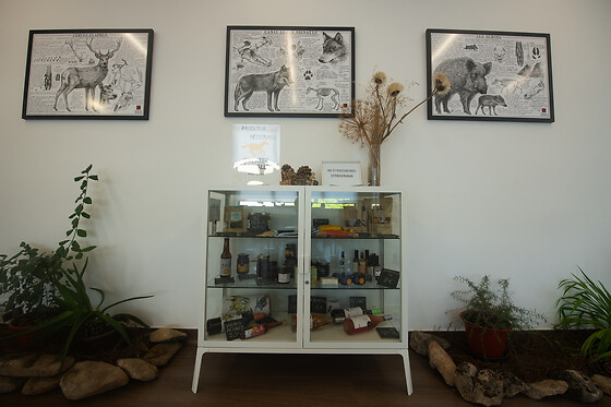 Centro Rewilding - photo 4