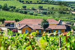 Quinta do Monte Travesso