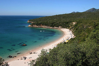 Tour pelo Parque Natural da Arrábida + Prova de Vinhos nas Caves Bacalhôa para 1 | Rotas do Sal (Setúbal)