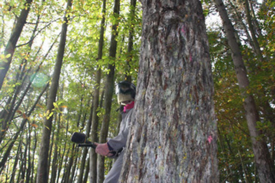 ASTUR PAINTBALL - photo 6