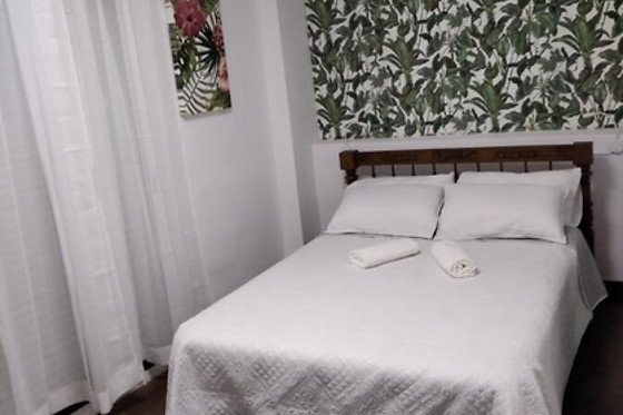 CA DE L'ALFAS - photo 12