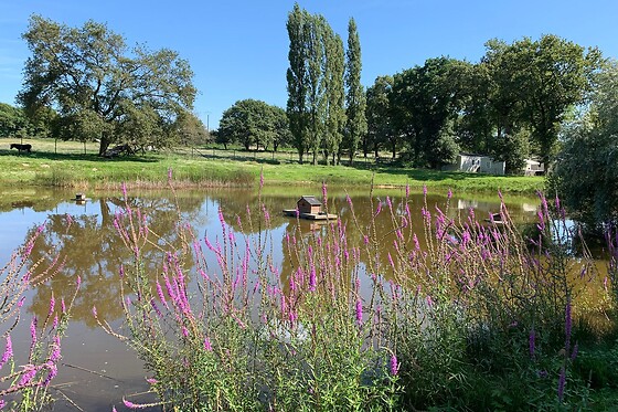 Camping de l'Etang du Pays Blanc - photo 10