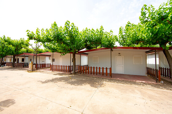 CAMPING CARLOS III - photo 6