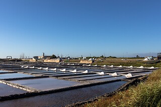 Visita guiada às salinas de Aveiro para 2 adultos + 1 criança | Aveiro com Paixão