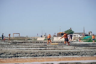 Visita guiada às salinas de Aveiro para 2 adultos + 1 criança | Aveiro com Paixão