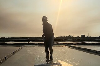 Visita guiada às salinas de Aveiro para 2 adultos + 1 criança | Aveiro com Paixão