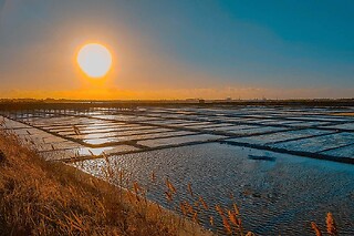 Visita guiada às salinas de Aveiro para 2 adultos + 1 criança | Aveiro com Paixão