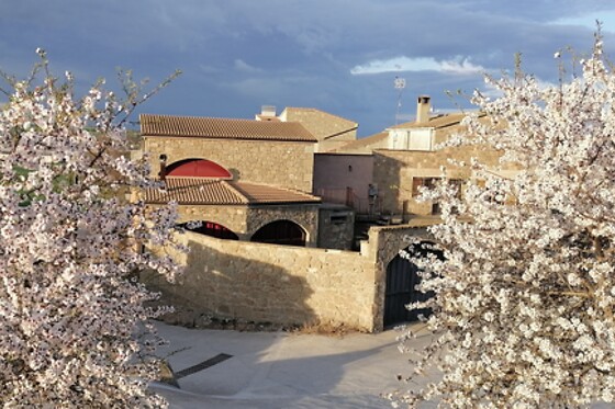 CAL MASO - photo 21