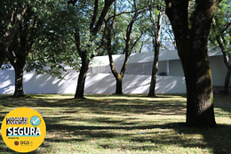 GRUPO MOVIJOVEM
